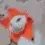 Cat groovin gif